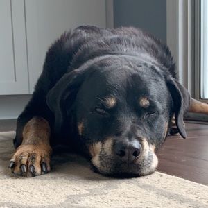 Meet your Posher, Michala